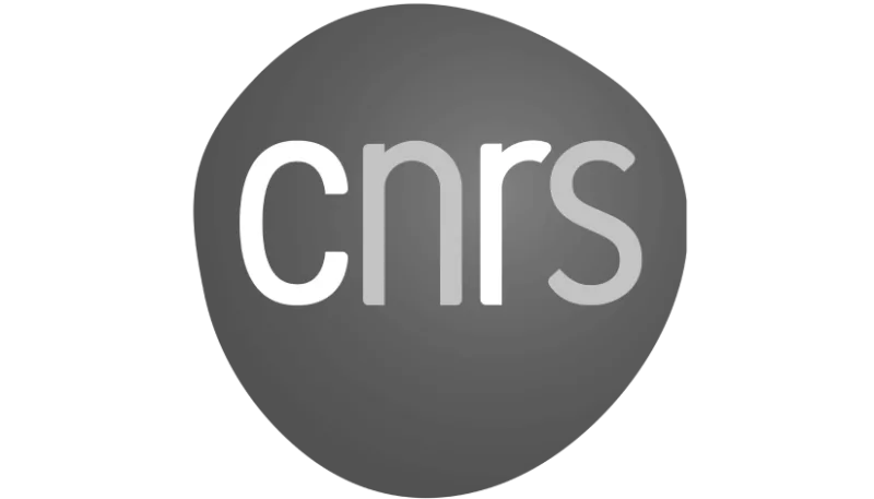 Logo CNRS